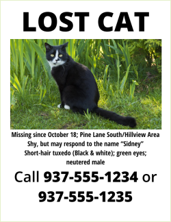 post lost cat