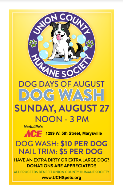 Dog Wash to Benefit the Union County Humane Society