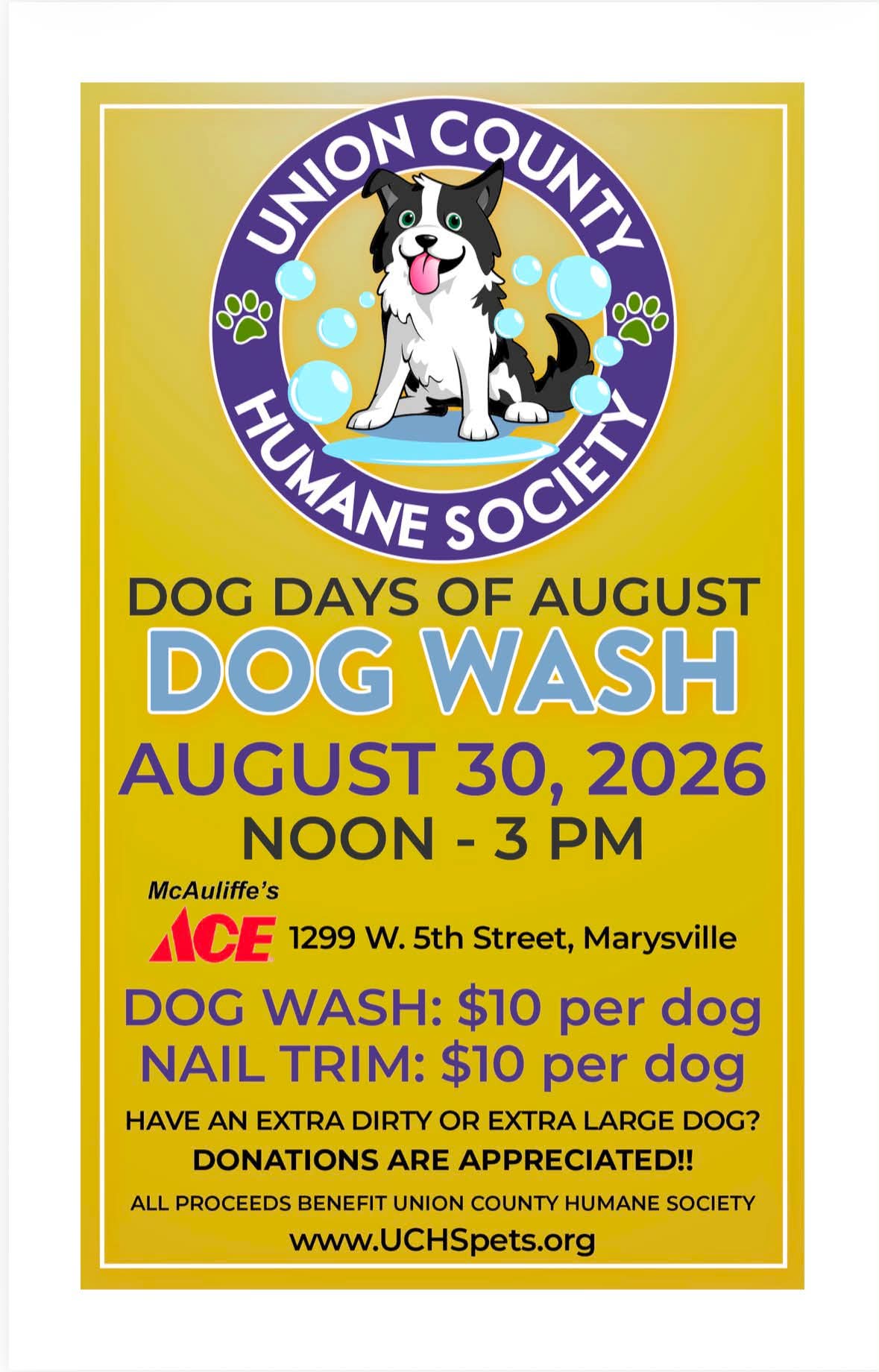 2026 Dog Wash