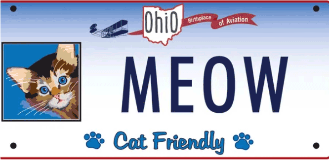 Cat License Plate