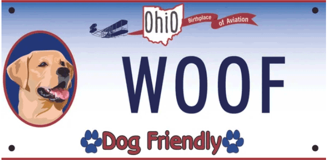 Dog License Plate